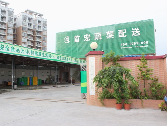 深圳蔬菜配送,蔬菜生鮮配送,蔬菜專業配送公司-東莞市首宏膳食管理有限公司深圳分公司